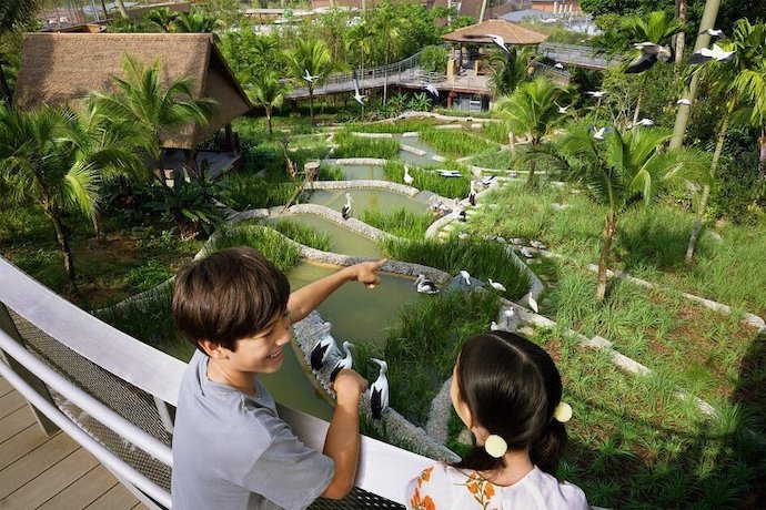 8 Best Things To See & Do At Bird Paradise - Kuok Group Wings of Asia