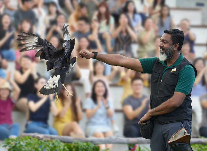 8 Best Things To See & Do At Bird Paradise – Bird Shows at Amphitheatre