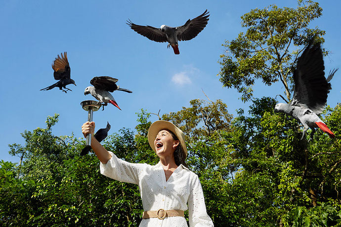 8 Best Things To See & Do At Bird Paradise – Keeper Talks & Feeding Programmes