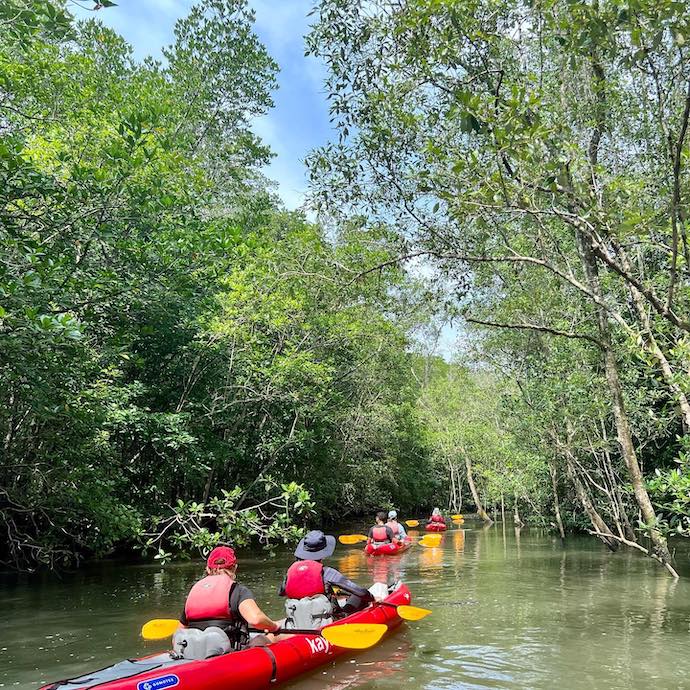 7 Under-The-Radar Nature Experiences To Discover In Singapore - Go kayaking around Pulau Ubin