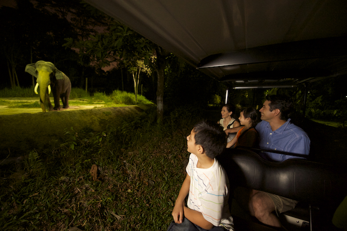 10 best Places for after-dark fun in Singapore - Night Safari