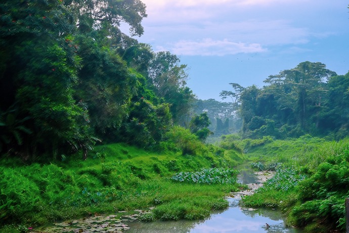 8 Must-Visit Spots On Singapore’s Revitalised Rail Corridor - Clementi Forest