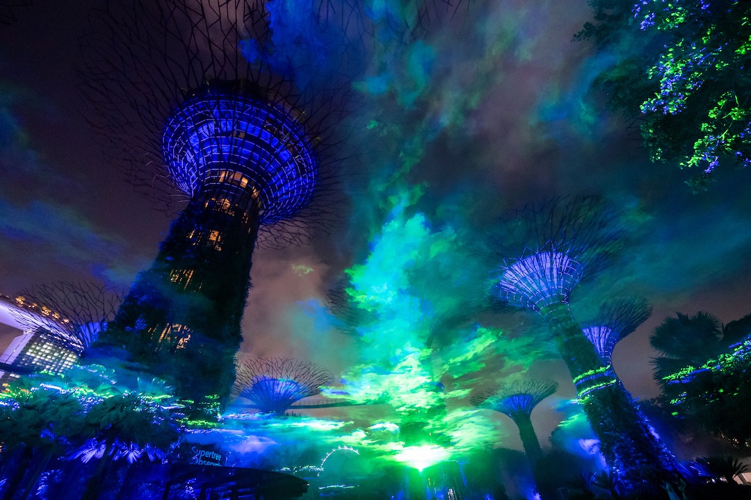 8 Best Light Shows To Catch In Singapore - Borealis at Gardens by the Bay